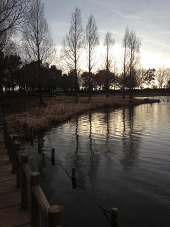 松伏総合公園