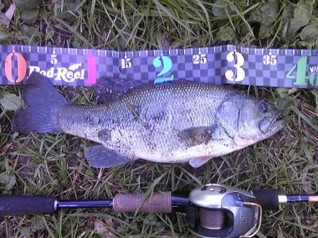 中川　テキサスリグ