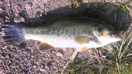 古利根川　ラバージグ