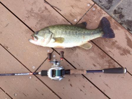 古利根　クランク