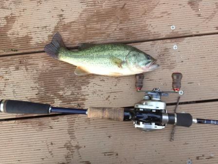 古利根川　ジグヘッドワッキー