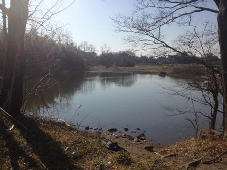 中川 砂利穴 のバス釣りポイント紹介