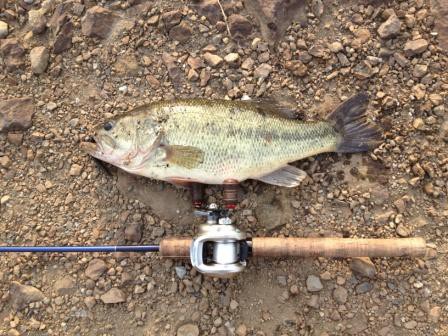 古利根川　ジグヘッドワッキー